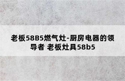 老板58B5燃气灶-厨房电器的领导者 老板灶具58b5